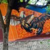 tour valledupar centro historico