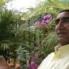 tour valledupar vallenato