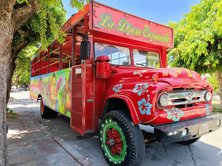 valledupar chiva turismo