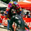 festivales colombia hombre pintado de negro en el festival de barranquilla