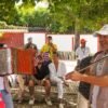 musicos tocando acordeon en el festival vallenato
